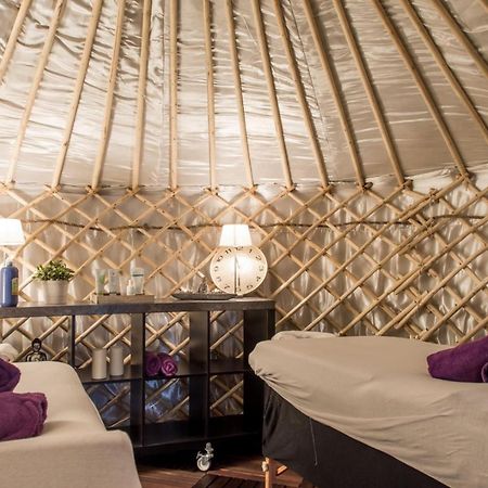 Yurtlife Bed & Breakfast Zaandam Eksteriør bilde