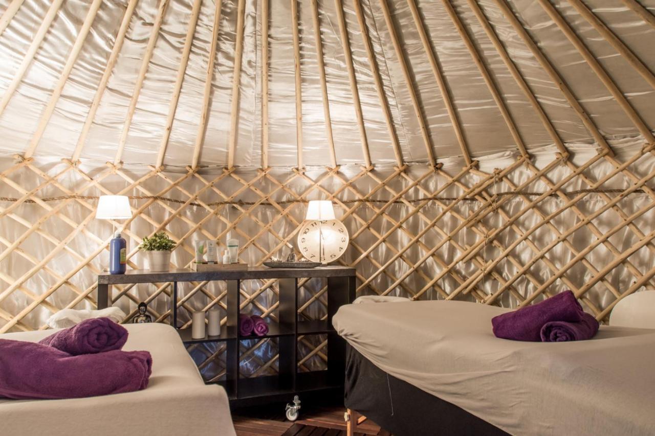 Yurtlife Bed & Breakfast Zaandam Eksteriør bilde